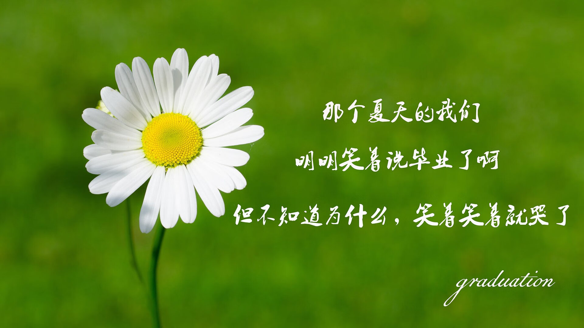 国际拳击超级大战，力量与技巧的巅峰碰撞，国际拳击比赛规则