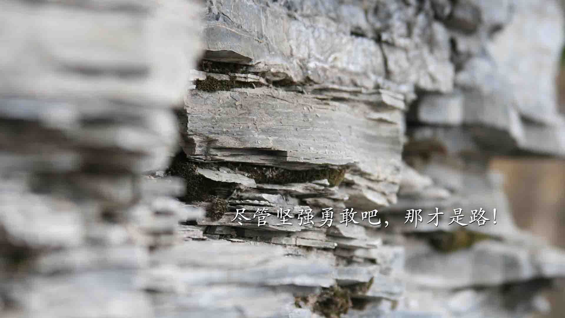 KPL联赛推广科学训练技术，提升竞技水平，kpl训练内容