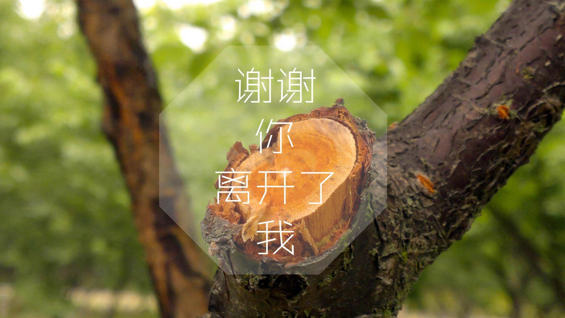 RB莱比锡欧战首胜在望，rb莱比锡球星