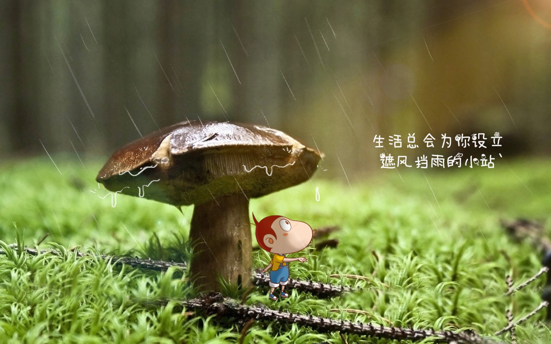 开云体育APP下载-贾巴尔：篮球运动无界，关注女性篮球联赛，篮球巨星贾巴尔