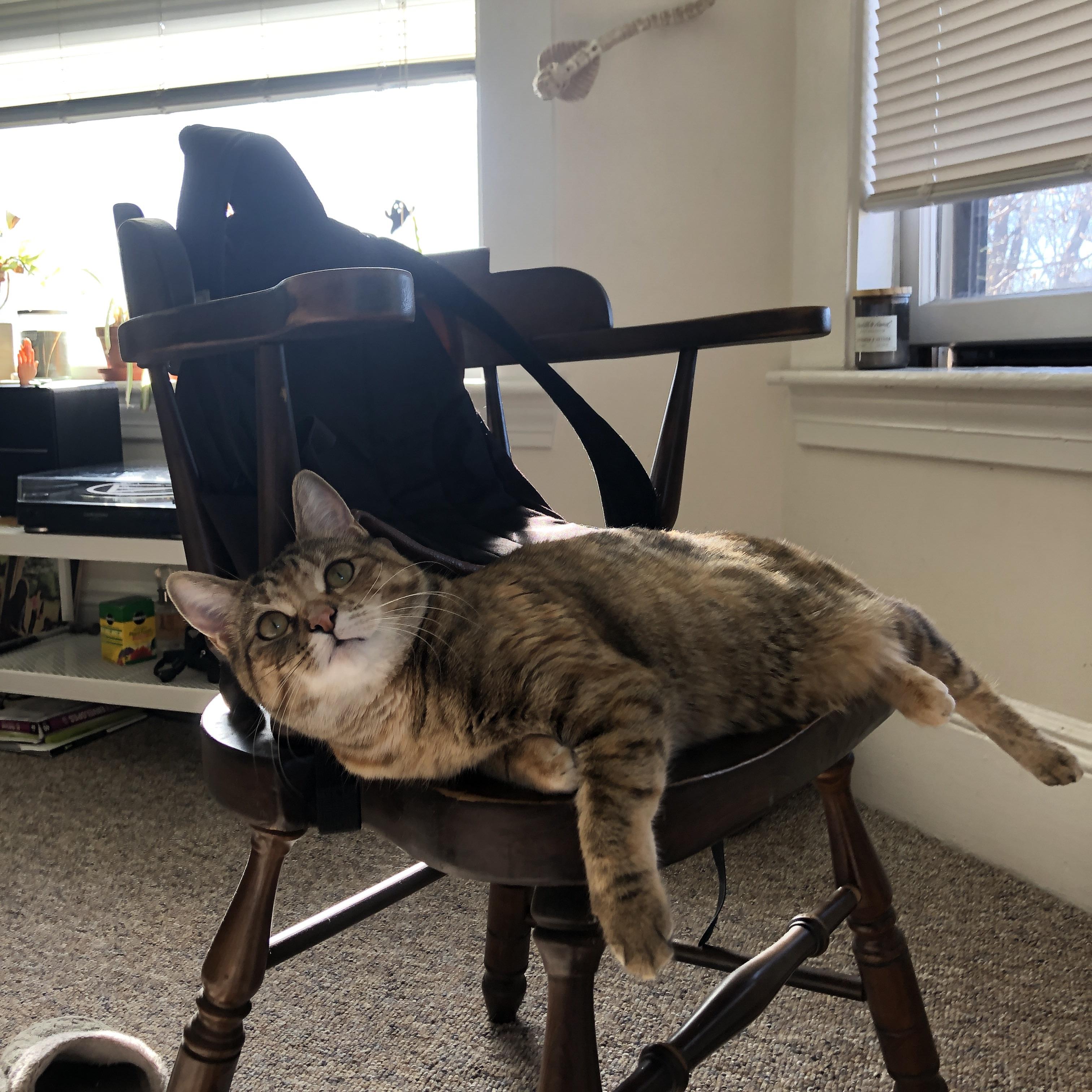 智能运动课程设计对大学生运动参与感的影响研究,运动智能训练的主要途径