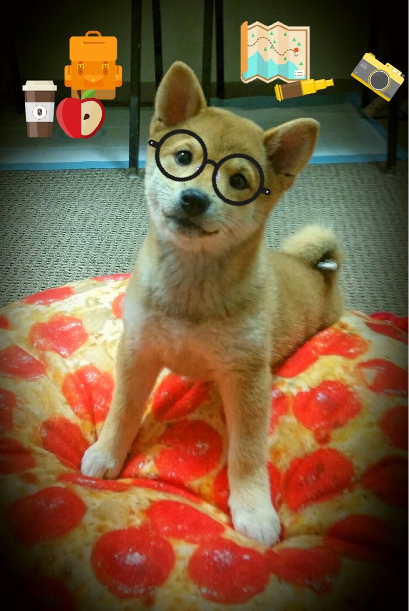 瑞·弗兰：用强大的爆发力和敏捷的跑动让对手防不胜防，瑞弗兰价格对比